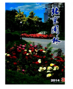 河南政工类评审要求有哪些