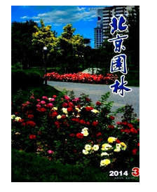 河南政工类评审要求有哪些