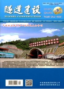 隧道工程论文结构种注意什么方面