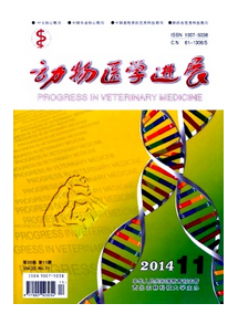 动物医学进展杂志收录什么论文