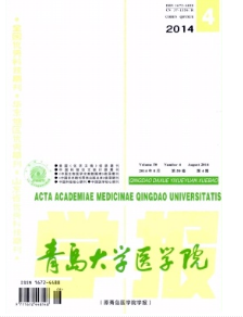 青岛医学类论文格式有何要求