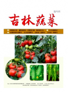 吉林省能够发表蔬菜栽培技术杂志那本好