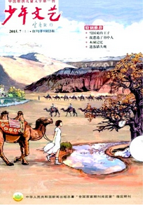 刊号有几种形式呢