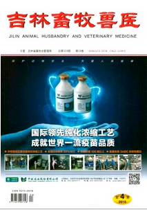 吉林兽医师评审时间在什么时候