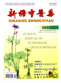 新疆中医药杂志论文格式要