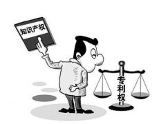 不同专利文件信息有何不同