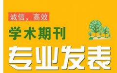 论文怎么加急
