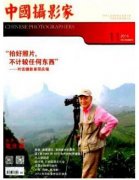 摄影类文字文章的适合的期刊