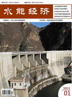 水能经济是什么级别的杂志