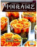 园林职称晋升需要论文吗