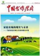 晋升高级经济师需要几篇论文