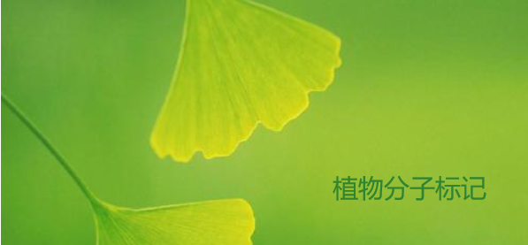 植物分子标记的SCI期刊有哪些