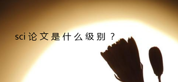 sci论文是什么级别
