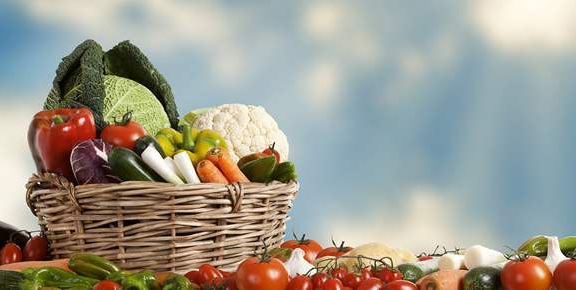 食品sci一区期刊有哪些