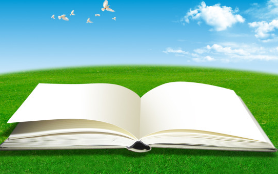 乡村茶文化旅游开发现状及发展