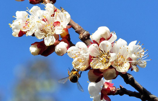 食品检验员怎么评中级职称