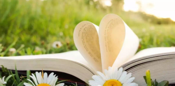 综述论文是什么意思