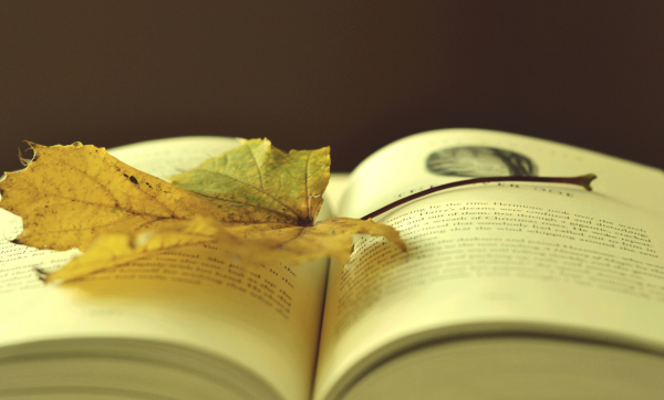 评小学一级教师职称需要哪些条件