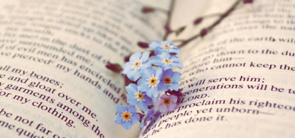 同行评审是什么意思