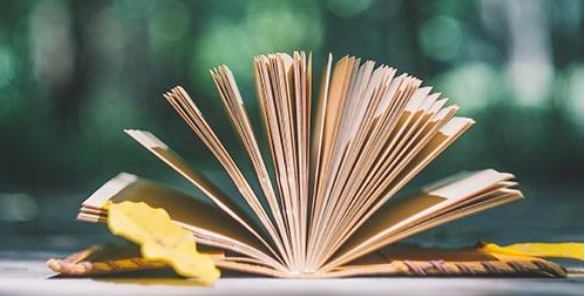 论著字数包括哪些