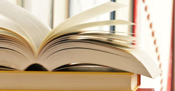 一级学报是什么意思