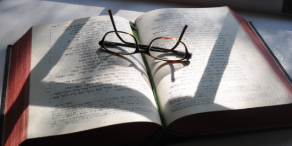 译著的多个作者怎么署名