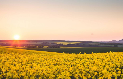 评职称的著作必须被数据库收录吗