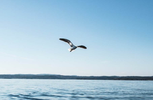 职称晋升中哪些荣誉可以加分