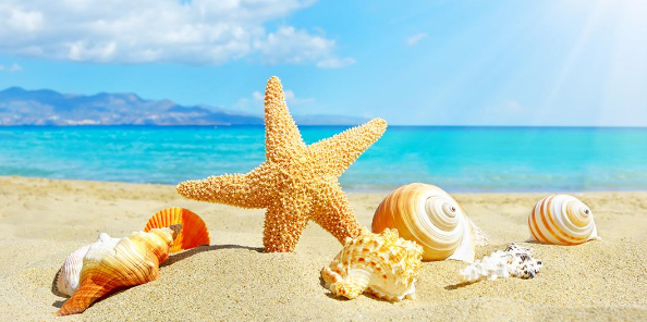 什么是组稿论文