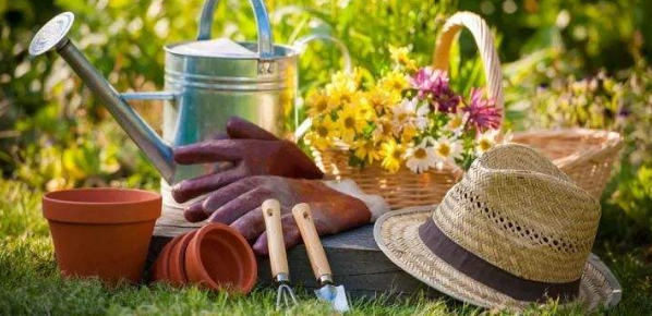 高级农艺师相当于什么级别