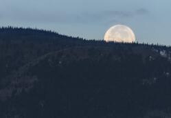 自动化英文普刊