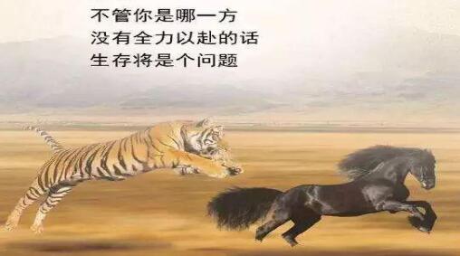 儿童心理专业英文论文