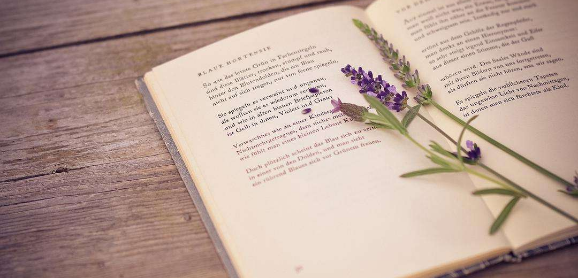 个人自传出版需要多少钱