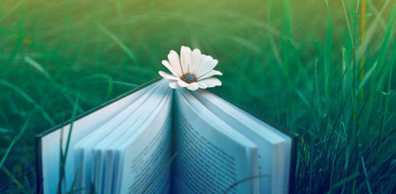 sci查重的时候要去掉哪些部分 