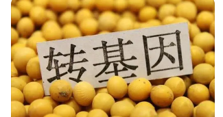 转基因论文发表期刊