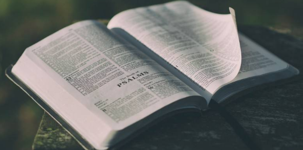 国际专著评职称可以加分吗