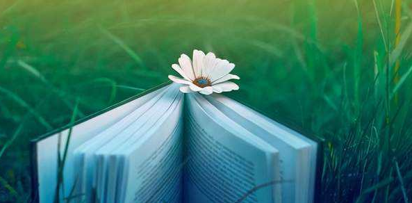 主任编辑和高级编辑有什么区别