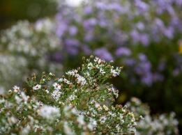 出书对评职称更好吗