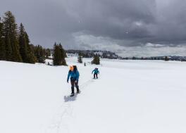 提高职称论文审稿顺利的方法