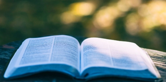 ei期刊的查重率要求是多少