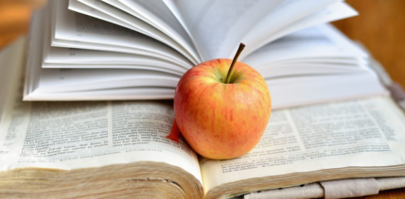 会议论文查重率多少合格