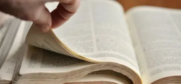 论文附件是什么意思