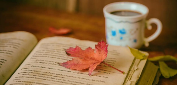 论文小修一般给多长时间