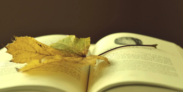 硕士论文摘要一般多少字