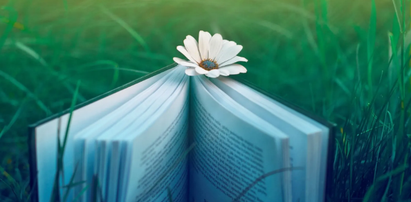 ei会议论文相当于核心吗