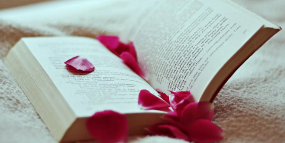 ei检索的会议论文算什么级别