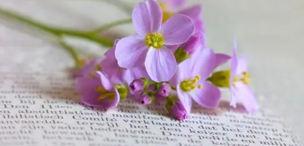 安徽省级期刊有哪些