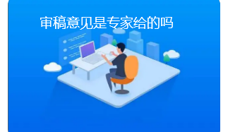 审稿意见是专家给的吗