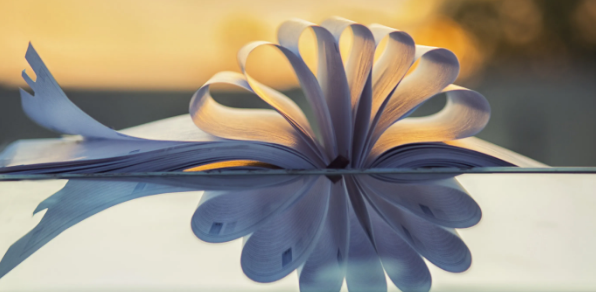 论文中第一作者第二作者第三作者怎么区分