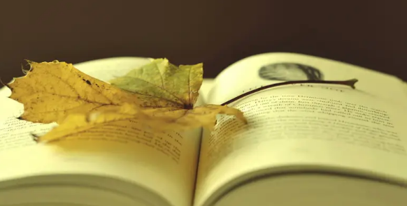 国际英文期刊是指普刊吗